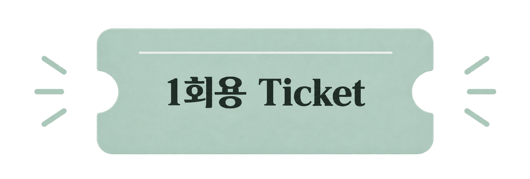1회용 Ticket
